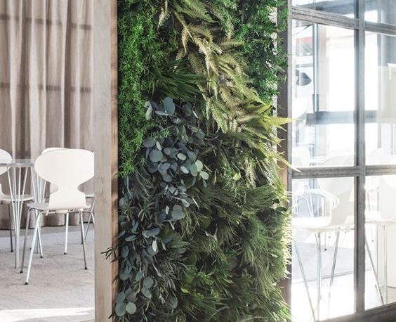 room divider with plants indoor plants tips