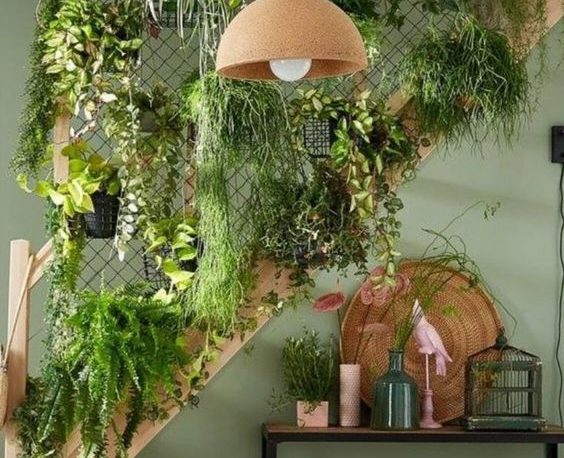 green walls indoorplants