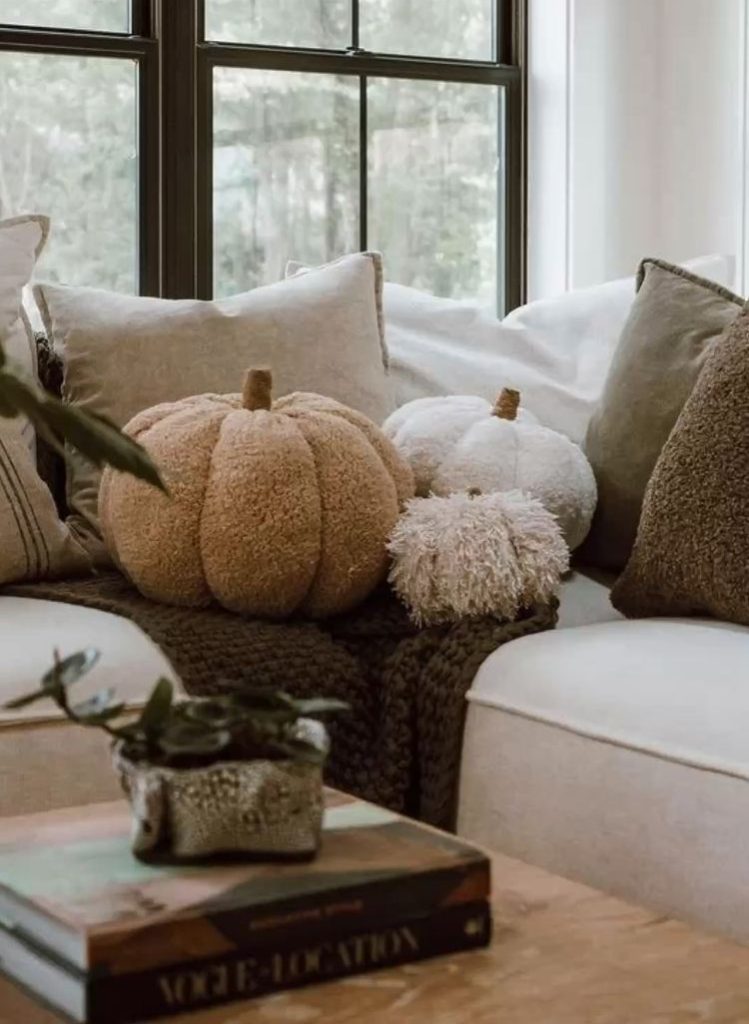 pillow for fall style interior design